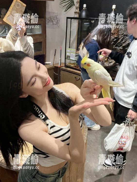 cgw 当你在cgw观看八卦,你的表情是焦虑还是开心?