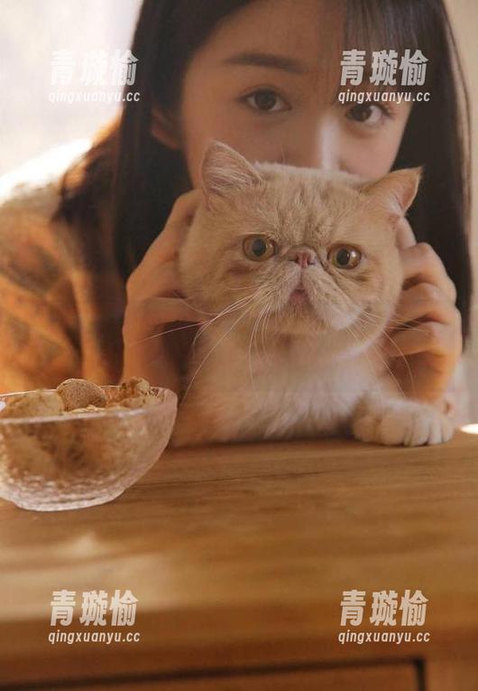 吃瓜福利 这波吃瓜福利,快来收藏,慢慢品味无底线的狗血剧情!